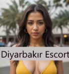 Diyarbakır Escort Liseli Kızlar